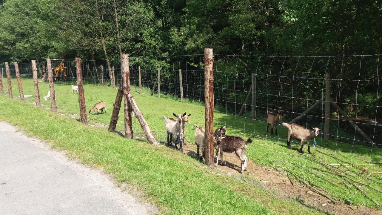 Agroturystyka,, Ranczo Kruszynki" Stronie Śląskie المظهر الخارجي الصورة