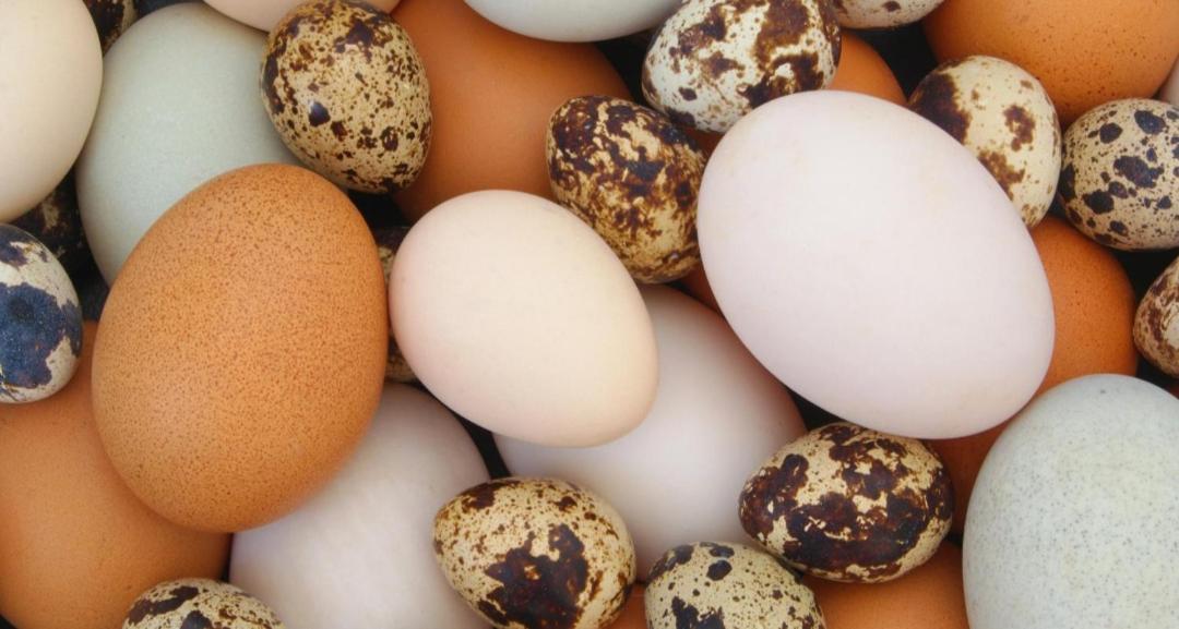 Agroturystyka,, Ranczo Kruszynki" Stronie Śląskie المظهر الخارجي الصورة